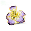 Ring Two Stone Gold Brass Flower Ethnic 1pc 6 7 8 9 10 / Women