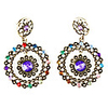 Ring with Ring Alloy Plating Resin Earrings
