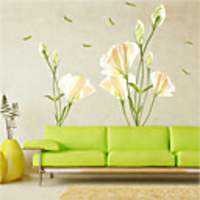 Romance / Florals / Botanical Wall Stickers Plane Wall Stickers Decorative Wall Stickers,  Vinyl Home Decoration Wall Decal Wall / Glass / Bathroom Decoration 1