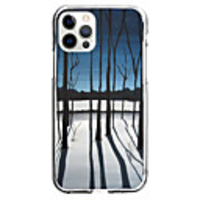 Scenery Case For Apple iPhone 12 iPhone 11 iPhone 12 Pro Max Unique Design Protective Case and Screen Protector Shockproof Back Cover TPU