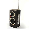 SD Memory Card Speaker Remote Control