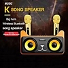 SD305 Separated Speaker Family KTV Set Machine Outdoor Loudspeaker For Meeting Speech Party Stage Mic With Dual Bluetooth Microphones