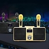 SD309 Dual Wireless Microphone Bluetooth Speaker KTV Mobile Wireless Karaoke Speaker Wireless Stereo Black 30W SDRD Speaker Set