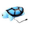 Sea Turtle The Enxhanting Nightlight