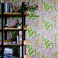 Shapes / Floral / Botanical Wall Stickers Plane Wall Stickers Decorative Wall Stickers,  PVC Home Decoration Wall Decal Wall Decoration 1pc