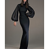 Sheath / Column Elegant Minimalist Wedding Guest Formal Evening Dress High Neck Long Sleeve Floor Length Spandex with Sleek 2020