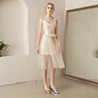Sheath / Column Flirty Sexy Party Wear Cocktail Party Dress V Neck Sleeveless Knee Length Tulle with Tier 2020
