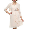 Sheath / Column Mother of the Bride Dress Elegant Bateau Neck Short / Mini Chiffon Sleeveless with Sash / Ribbon Ruffles 2020