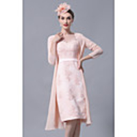 Sheath / Column Mother of the Bride Dress Elegant Vintage Plus Size Bateau Neck Knee Length Chiffon Lace 3/4 Length Sleeve with Appliques 2020 / See Through Mother of the groom dresses
