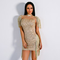 Sheath / Column Roaring 20s Sexy Party Wear Cocktail Party Dress High Neck Short Sleeve Short / Mini Spandex with Tassel 2020
