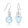Shining Crystal And 925 Sterling Silver With Platinum Plated Earrings - Champagne