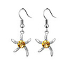 Shining Star Pattern Earrings