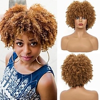 Short Brown Kinky Afro Wig for Black Women Natural Synthetic Curly Cosplay Costume Wigs with Wig Cap miniinthebox