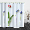 Simple Flowers Digital Printing Shower Curtain Shower Curtains Hooks Modern Polyester New Design