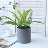 Simulate Water Grass Flower Fern To Bundle 1 pc 2816cm miniinthebox