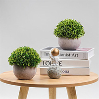 Simulated Bonsai Melaleuca Grass Half Round Paper Pulp Pot Green Plant Simulation Bonsai 12cm miniinthebox