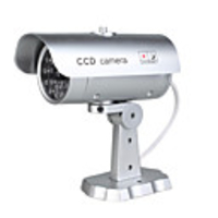 Simulated Indoor/Outdoor Security Camera with Blinking Red LED