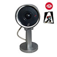 Simulated Indoor/Outdoor Security Camera with Motion Detector