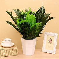 Simulated Iron Leaf Fern Plant Background Wall Decoration Flowers And Plants 47cm miniinthebox
