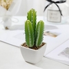 Simulation Of Cactus Table Decoration 6x14cm miniinthebox