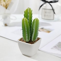 Simulation Of Cactus Table Decoration 6x14cm miniinthebox