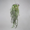 Simulation Plant Rattan Hanging Basket Simulation Crescent Rattan Wall Hanging 100cm miniinthebox
