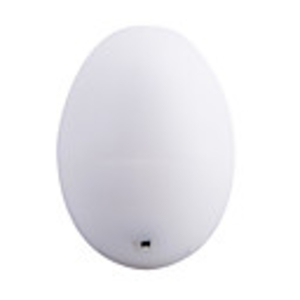 Single LED Color Changing Egg Light