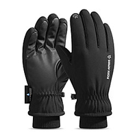 Ski Gloves Men