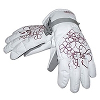 Ski Gloves Women