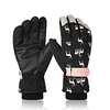 Ski Gloves Women