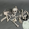 Skull Halloween Props Men