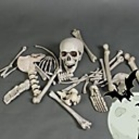 Skull Halloween Props Men