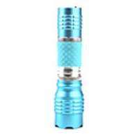 Small Flashlight KeyChain Blue