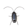Solar Cockroach Robot Kit