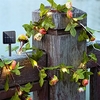 Solar Ivy Leaf Rose Leaf String Lights Outdoor LED Hanging Lights Artificial For Yard Fence Garden Wall Hanging Decoration Lighting Waterproof Light miniinthebox