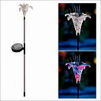 Solar LED Garden Light(CIS-42160)