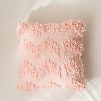 Solid Colored Feather Down Velvet Pillow Case Cover Living Room Bedroom Sofa Cushion Cover Modern Sample Room Cushion Cover