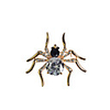 Spider Zircon Alloy Brooch (Assorted Color)