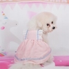 Spring and Summer Thin Pet Dog Clothes Cute Princess Lace Strap Skirt Pet Fun Clothing miniinthebox