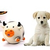 Squeaking Toy Dog Chew Toys Interactive Toy Dog Cat Pet Toy 1pc Pet Friendly Rubber Gift