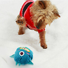 Squeaking Toy Dog Kitten 1pc Animal Pet Friendly Adorable Reusable Pet Exercise Plush Fabric Gift Pet Toy Pet Play
