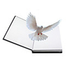 Stress Reliever Professional Level Stress and Anxiety Relief Strange Toys Other Pure Paper Poly / Cotton Blend For Adults