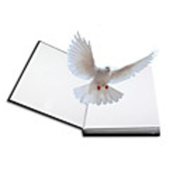 Stress Reliever Professional Level Stress and Anxiety Relief Strange Toys Other Pure Paper Poly / Cotton Blend For Adults