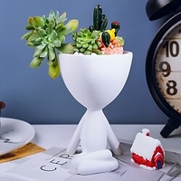 Succulent Green Plant Pot Decorative Objects Resin Modern Contemporary for Home Decoration Gifts 1pc miniinthebox