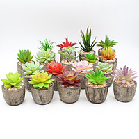 Succulent Potted Plants,  Distressed Succulent Combinations,  Creative Garden Decorations,  Indoor Outdoor Decor miniinthebox