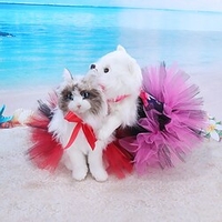 Summer Dog Mesh Dress Cat Lace Princess Gauze Skirt New Small and Medium Pet Clothes miniinthebox