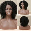 Synthetic Lace Wig Afro Curly Style 14 inch Black Middle Part L Part Wig All Wig Black miniinthebox