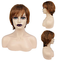 Synthetic Wig Natural Straight Layered Haircut Wig Light Brown Synthetic Hair Women