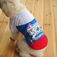 Taekwondo Style Dog Coat (XS - XL,  Assorted Colors)