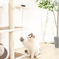 Teaser Cat Pet Toy Focus Toy Plastic Plush Gift